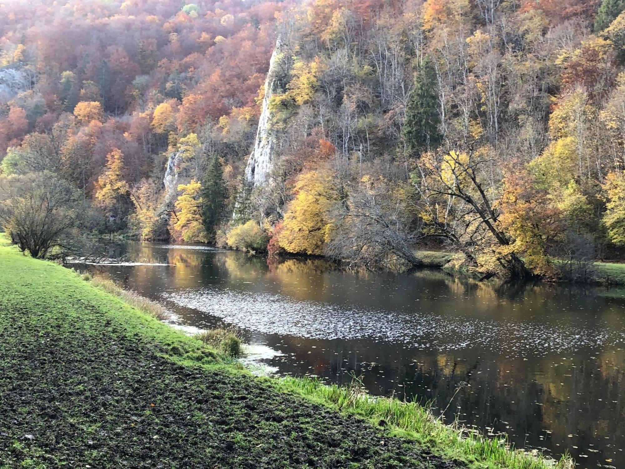 Ferienwohnung Jardin De Lavande Fridingen an der Donau Luaran gambar