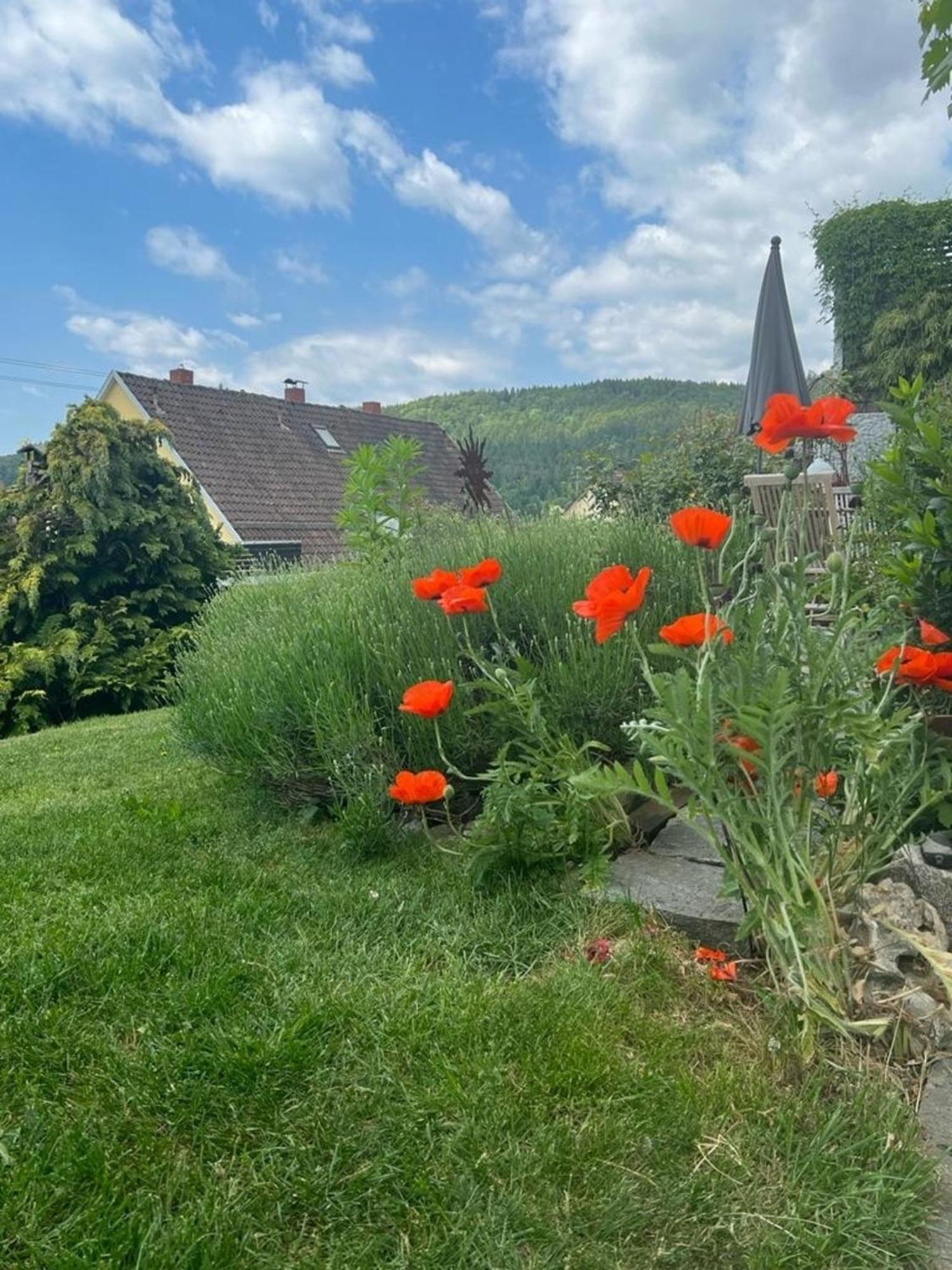 Ferienwohnung Jardin De Lavande Fridingen an der Donau Luaran gambar